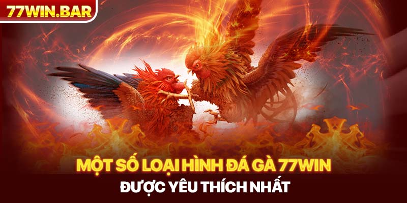 Một số loại hình đá gà 77win được yêu thích nhất