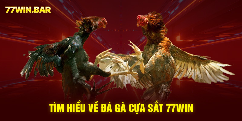 Tìm hiểu về đá gà cựa sắt 77win