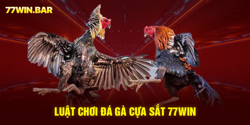 Luật chơi đá gà cựa sắt 77win 