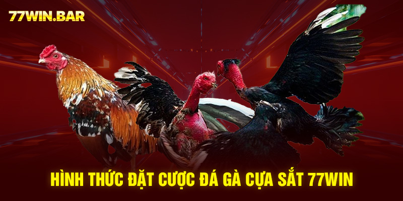 Hình thức đặt cược đá gà cựa sắt 77win