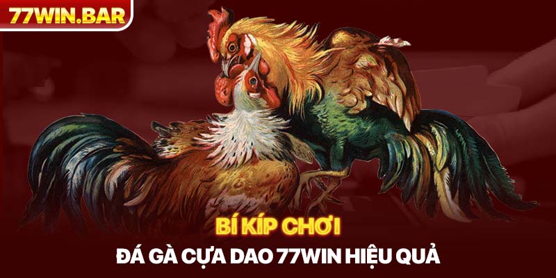 Bí kíp chơi đá gà cựa dao 77win hiệu quả