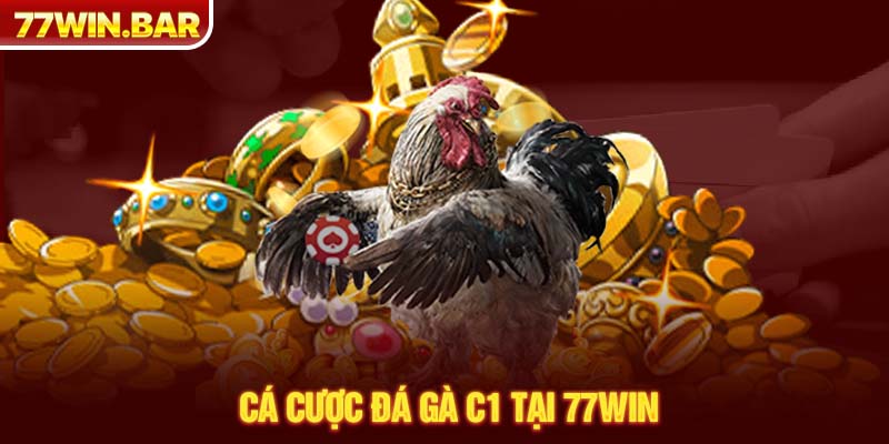 Cá cược đá gà C1 tại 77win