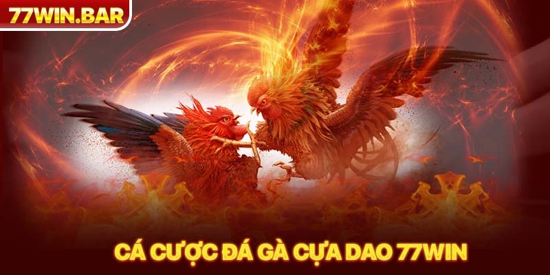 Cá cược đá gà cựa dao 77win