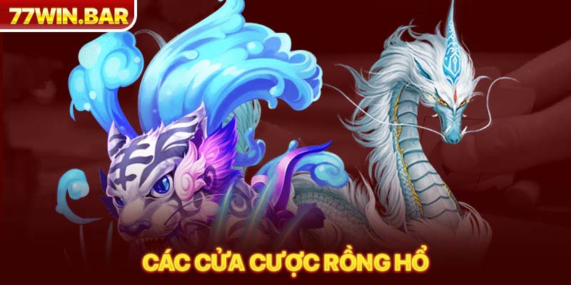 Các cửa cược Rồng hổ