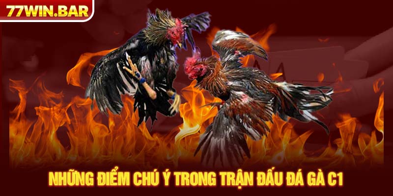 Những điểm chú ý trong trận đấu đá gà C1