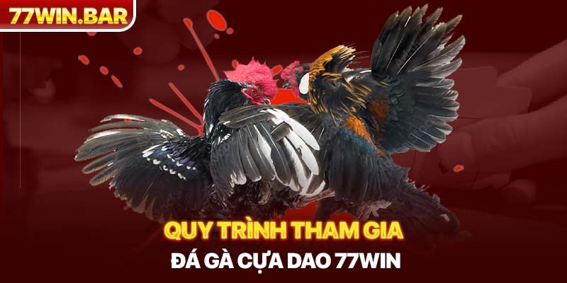 Quy trình tham gia đá gà cựa dao 77win 