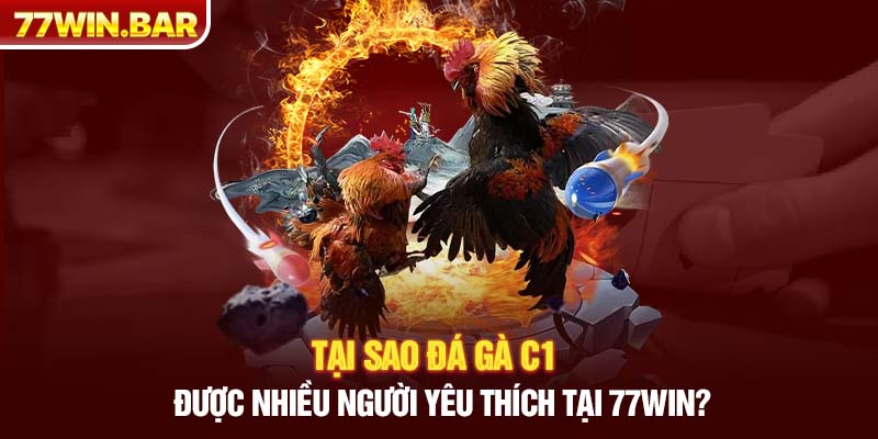 Tại sao đá gà C1 được nhiều người yêu thích tại 77win?