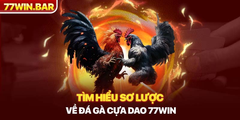 Tìm hiểu sơ lược về đá gà cựa dao 77win