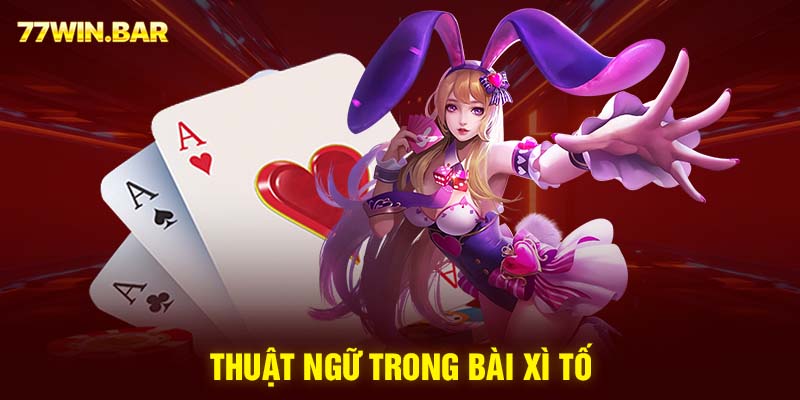 Thuật ngữ trong bài xì tố