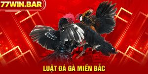 Luật đá gà miền Bắc