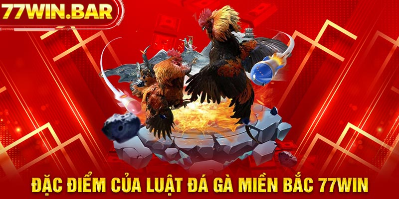 Đặc điểm của luật đá gà miền Bắc 77win