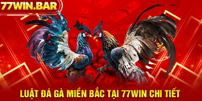 Luật đá gà miền Bắc tại 77win chi tiết 