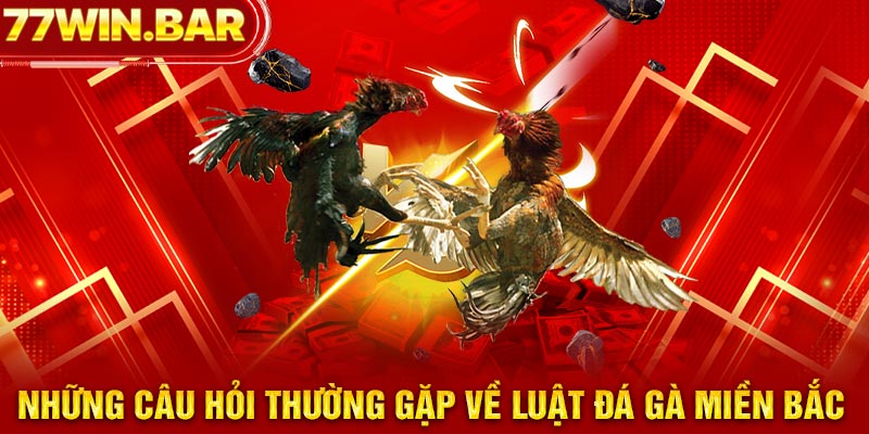 Những câu hỏi thường gặp về luật đá gà miền Bắc 