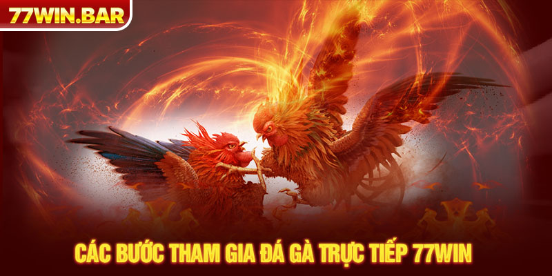 Các bước tham gia đá gà trực tiếp 77win 