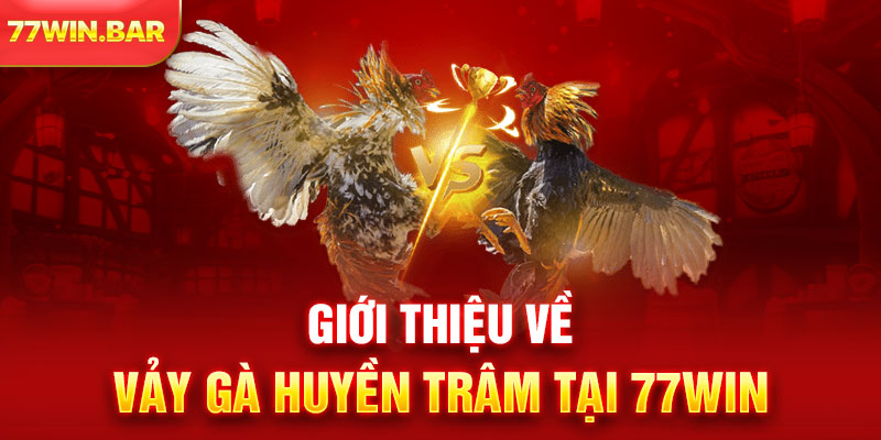 Giới thiệu về vảy gà Huyền Trâm tại 77win