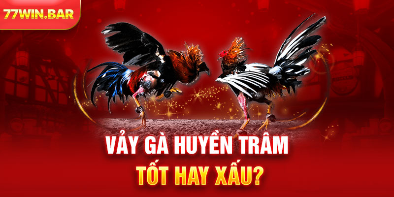 Vảy gà Huyền Trâm tốt hay xấu?